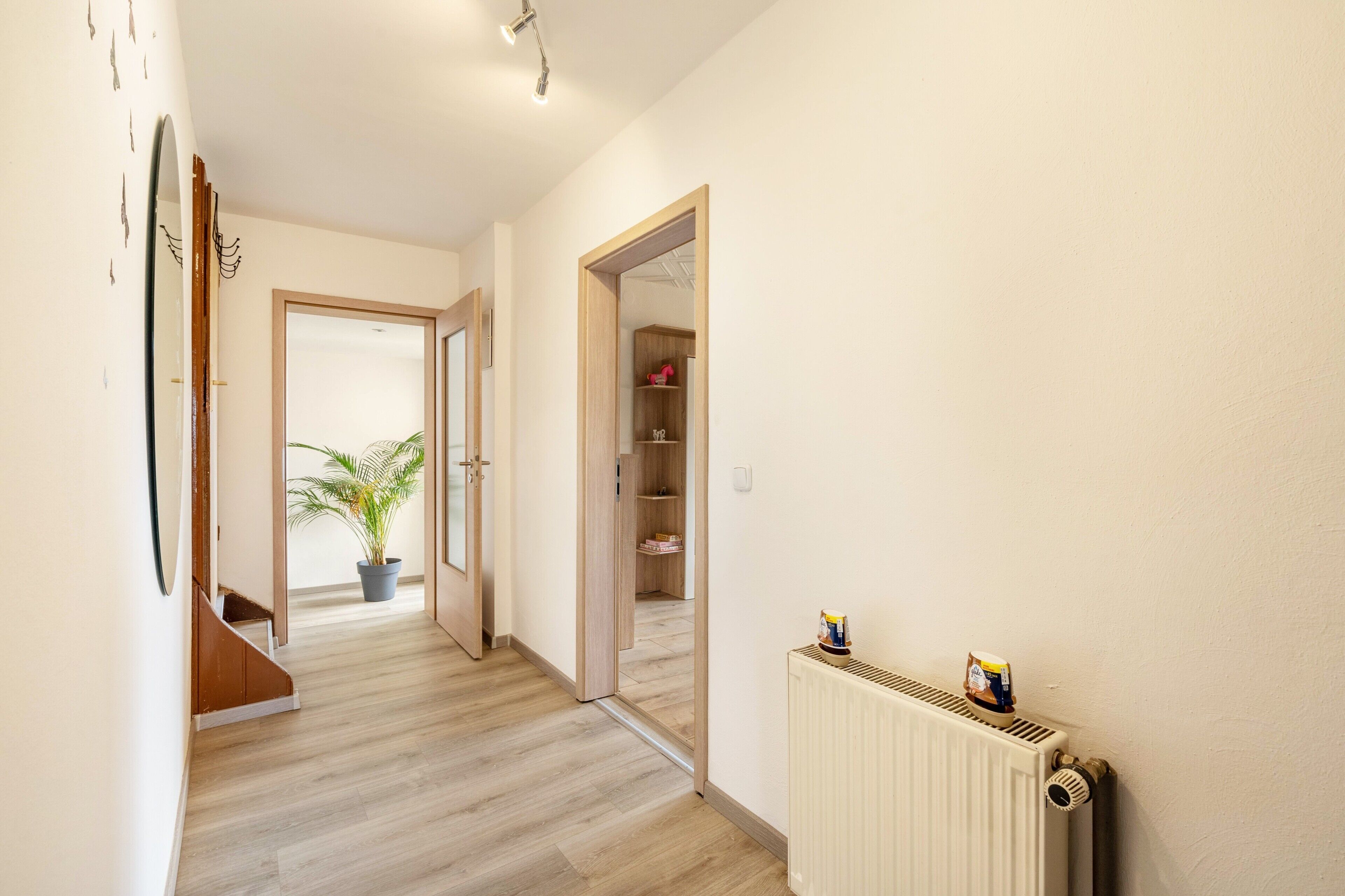 A hallway with a radiator, a potted plant, and a door leading to a room.