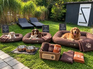 Three dog beds with size labels, a basket of dog treats, and two metal bowls on a grassy area.
