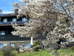 Exterior - Apartment 'Garden Suite' with Mountain View, Private Terrace and Wi-Fi (Höchenschwand)