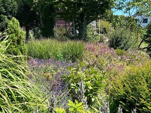 A garden with various plants and trees, a building in the background, and a clear sky.
