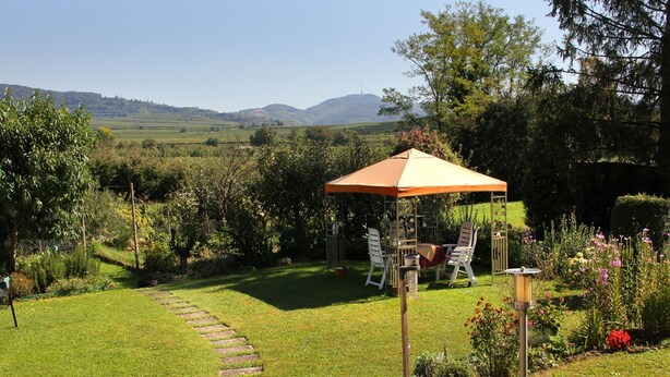 A garden with a patio, a stone pathway, and a view of the hills.