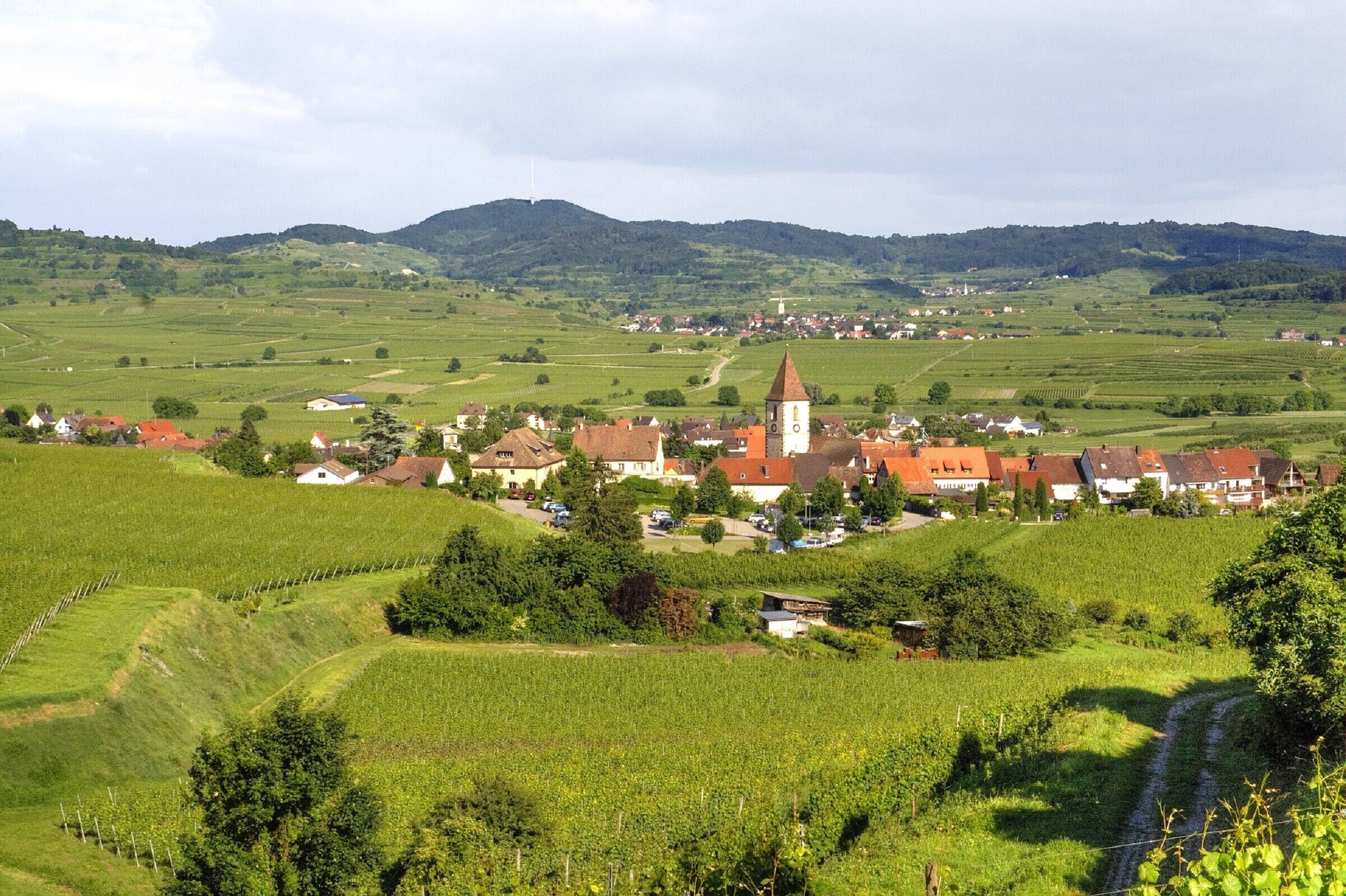 A rural village with a prominent church, surrounded by vineyards and rolling hills.