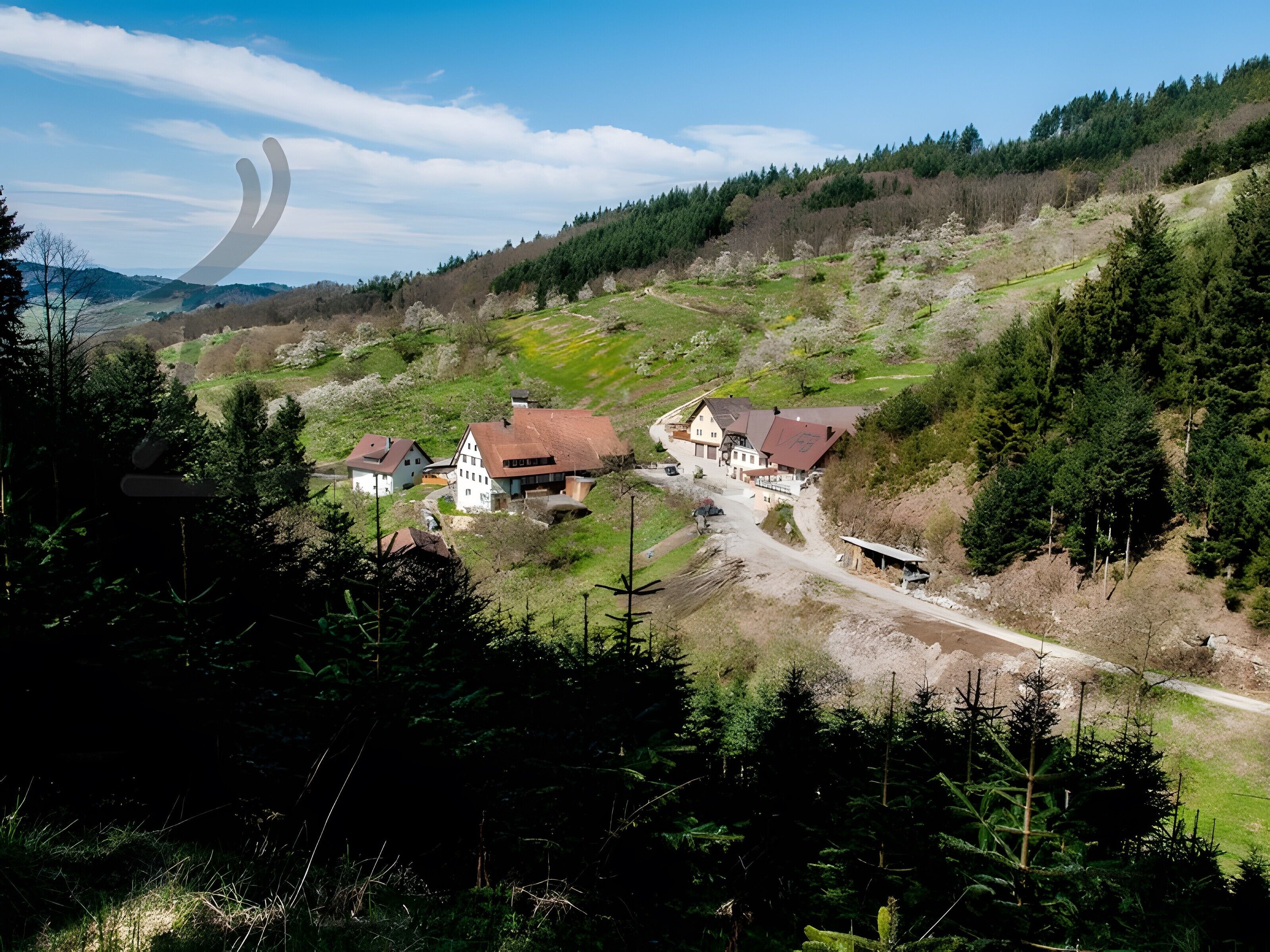 Un village rural avec des maisons traditionnelles, un chemin de terre et une colline boisée.
