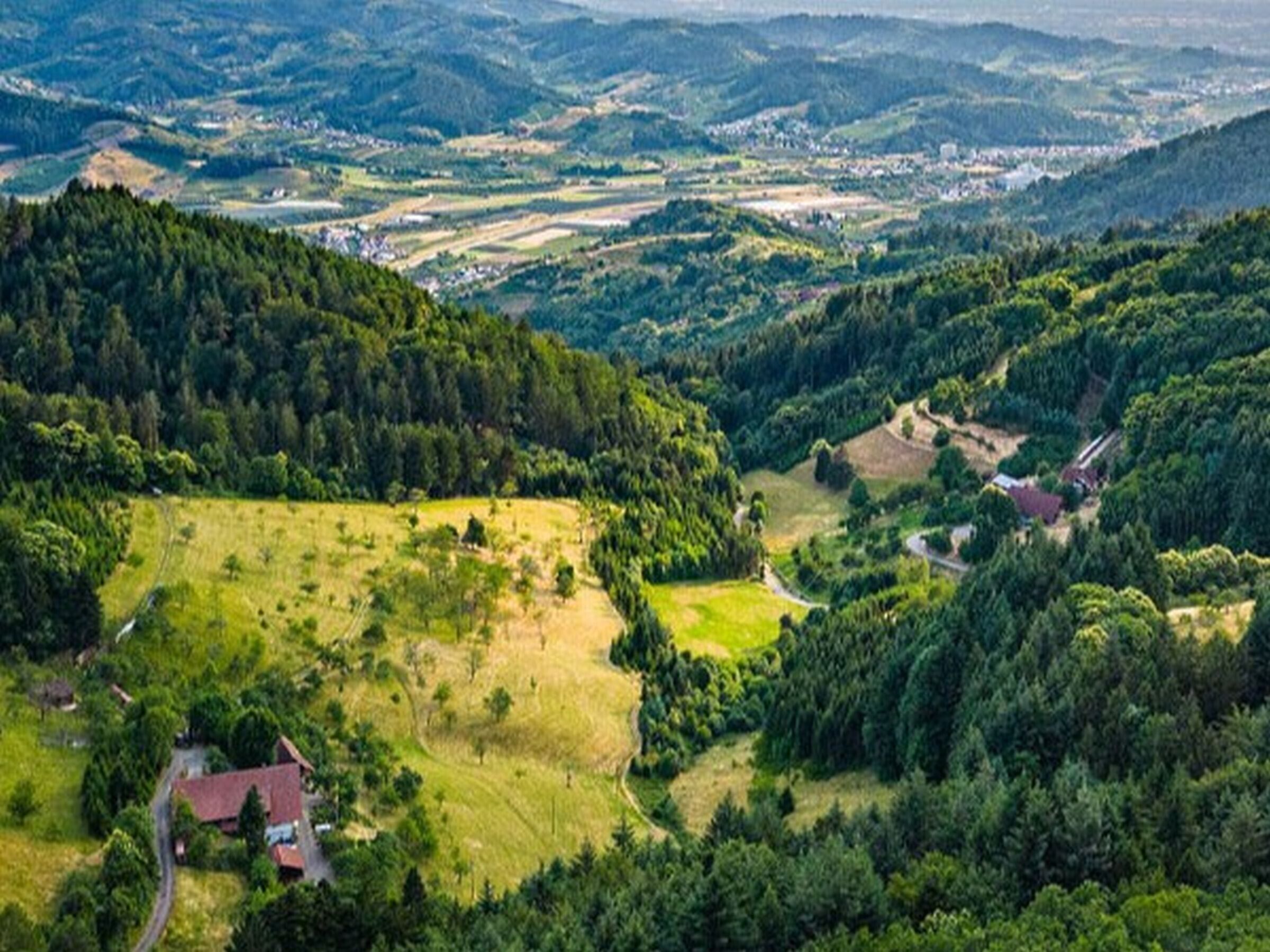 Landskab med et hus omgivet af marker og skov.