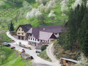Exterior - Apartment 'Williamsblick' with Terrace and Wi-Fi (Lautenbach)