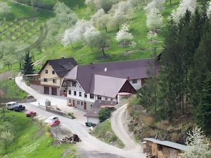 A rural house with a sloped roof, a driveway, and a road curving around it.