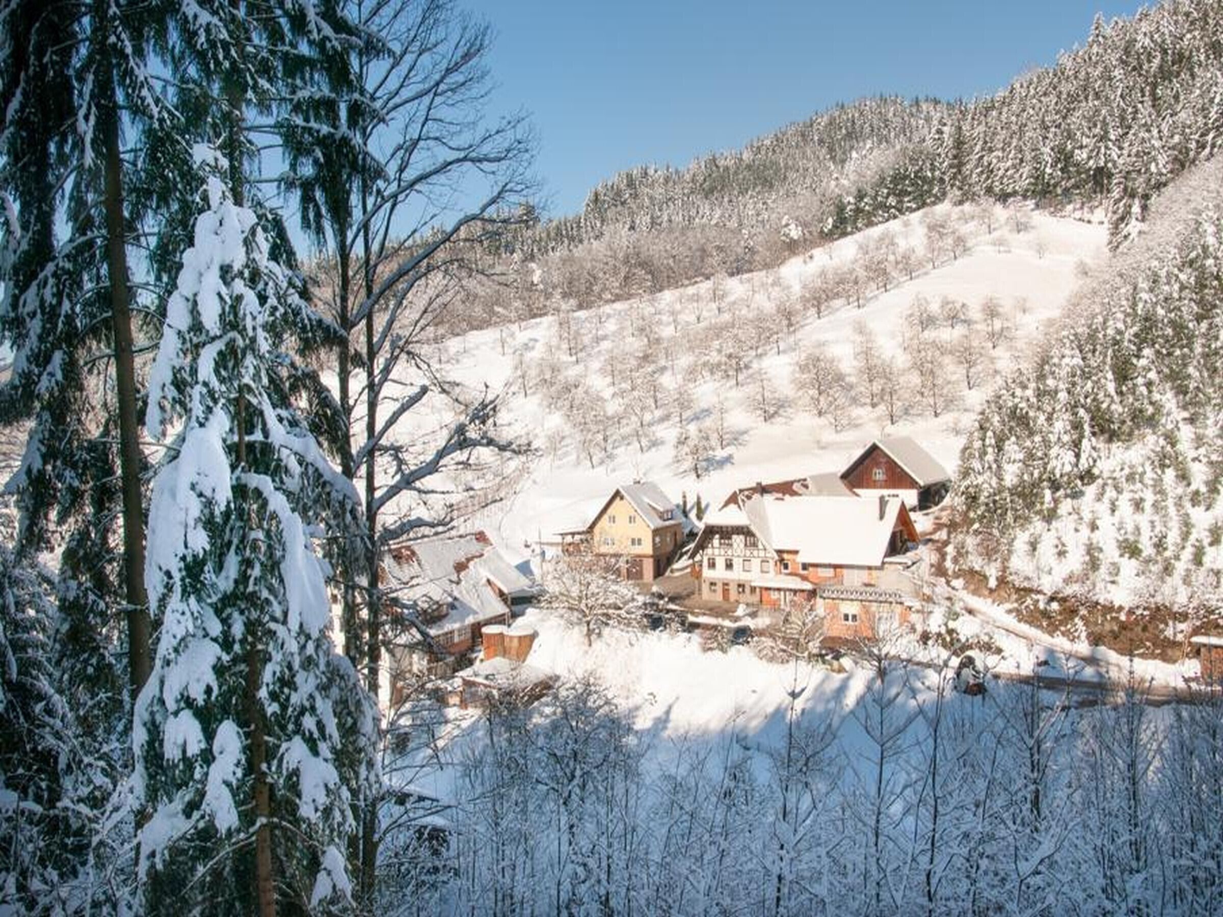 A snow-covered village with traditional buildings, a clear sky, and a forested hill in the background.