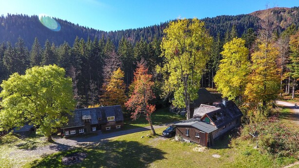A rural house with a sloped roof, surrounded by a forested area with autumn-colored trees. - Holiday Apartment 'Mühle' – Cozy Getaway at Feldberg (Feldberg)