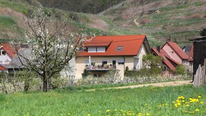Ein Haus mit rotem Dach, umgeben von einem grünen Feld mit gelben Blumen, und eine hügelige Landschaft im Hintergrund.