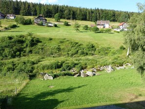 Property grounds - Apartment 'Haus Wiesengrund' with Mountain View, Shared Garden and Wi-Fi (Forbach)
