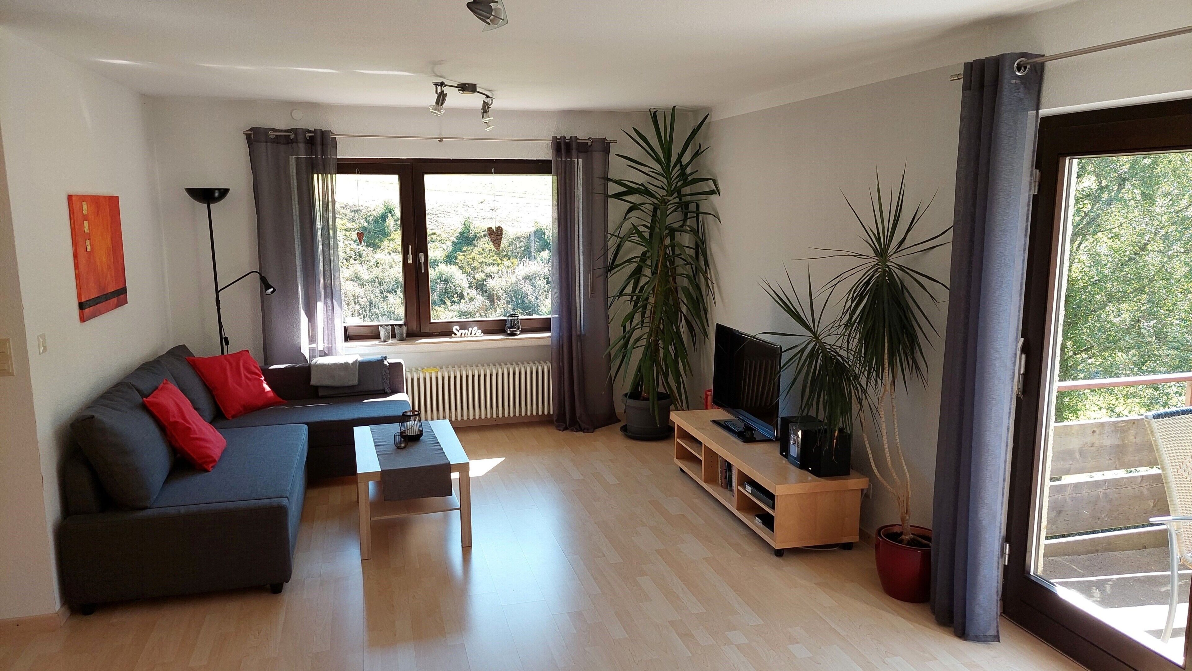 TV, ping pong, stereo