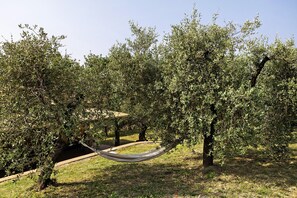 Property grounds - Apartment 'Ginestra' with Sea View, Wi-Fi and Air Conditioning (Masignano)