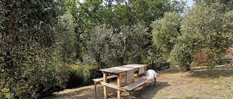 Restauration en plein air