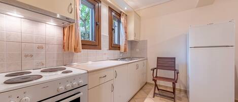 Fridge, oven, stovetop, cookware/dishes/utensils