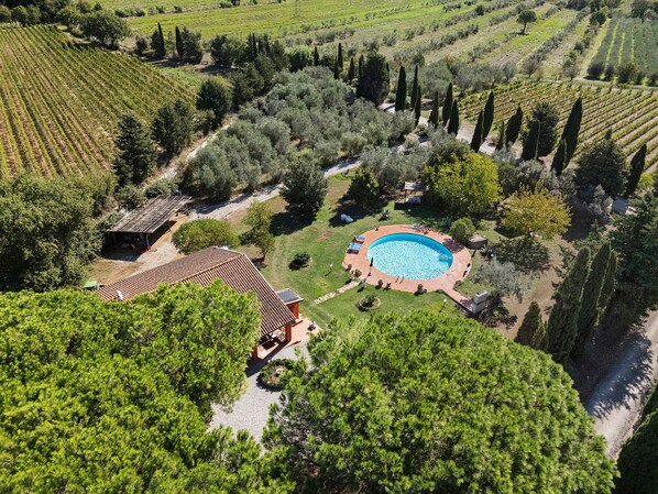 A residential property with a swimming pool, vineyard, and a red-roofed building.