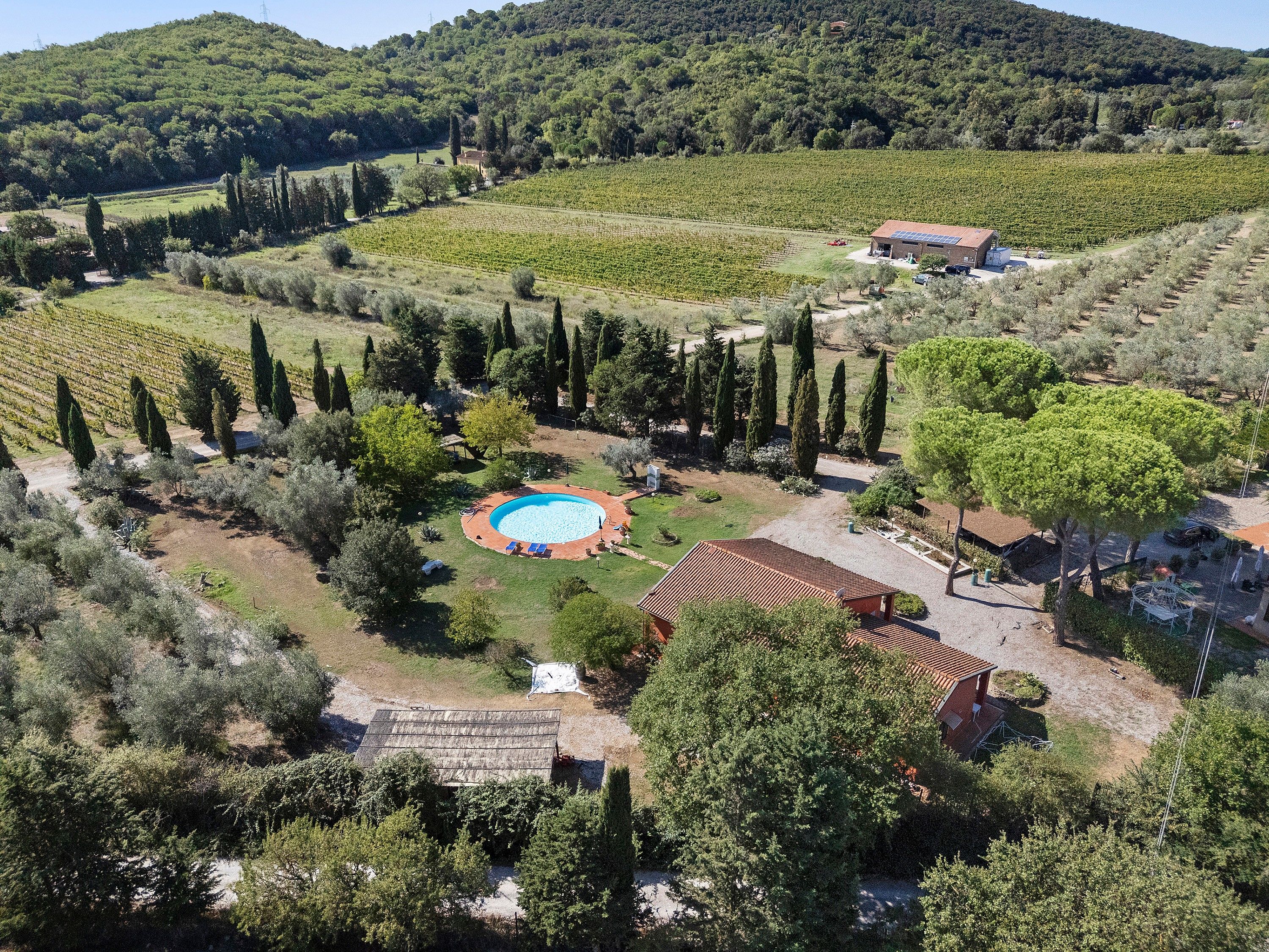 A vineyard with a swimming pool surrounded by trees and a building with a red roof.