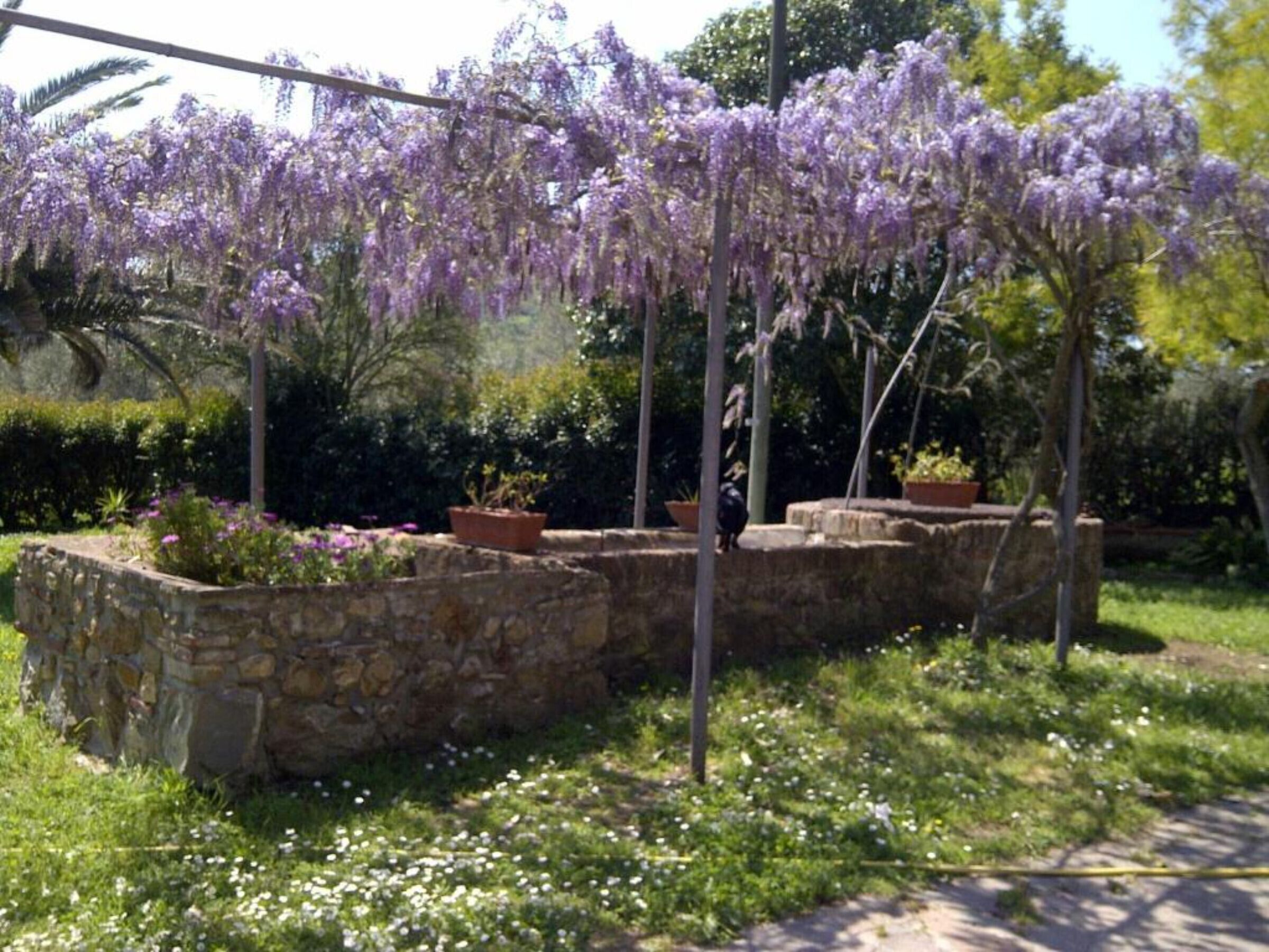 Área da propriedade