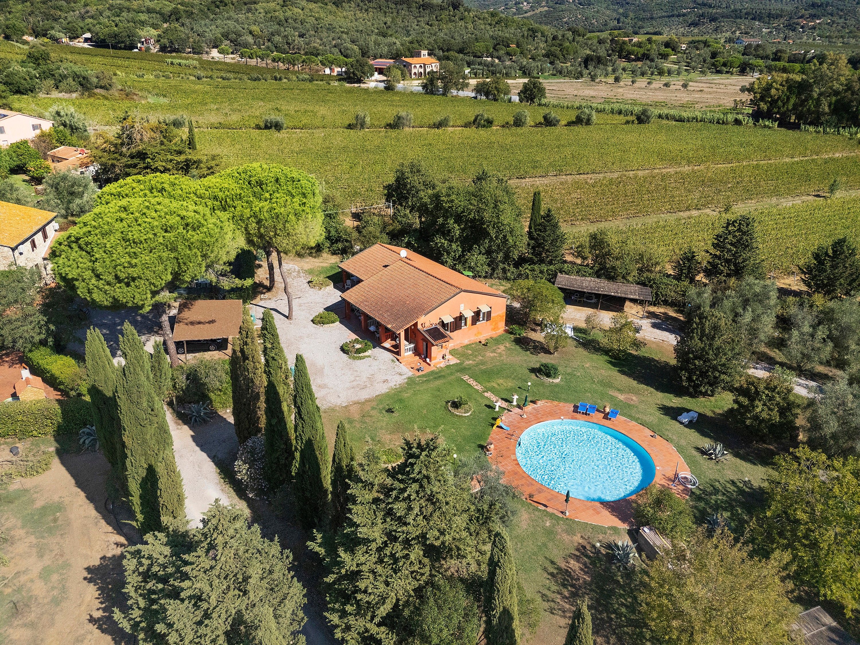 Vista aerea di una proprietà con piscina, un albero grande e vigneti circostanti.