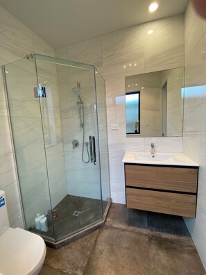 Shower, hair dryer, towels, soap