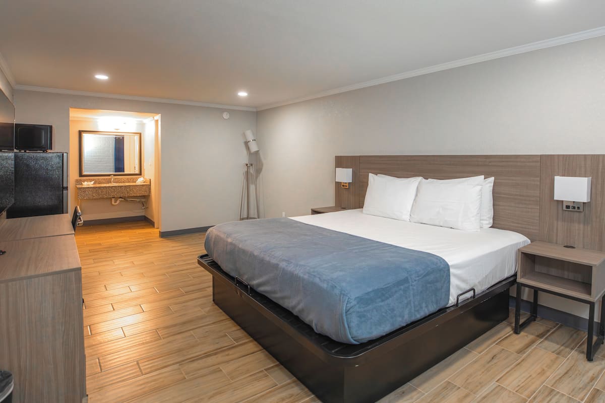 Single Room, 1 King Bed