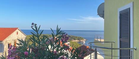 A balcony with a view of the sea, a satellite dish, and a building with a red roof.