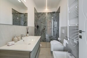 Shower, hair dryer, bidet, towels
