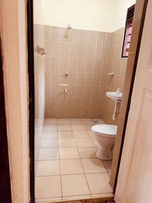 Shower, bidet, towels, soap