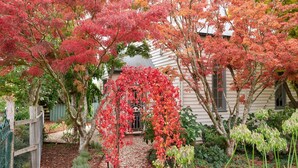 Una casa con un porche de hojas rojas, rodeada de plantas diversas y una valla de madera.