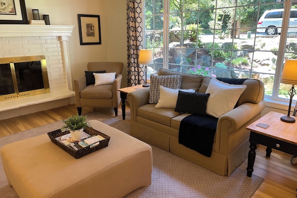 Televisor, llar de foc, reproductor de DVD i llibres