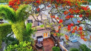 A house with a wooden deck, surrounded by lush greenery and a large tree with red flowers. - Key Lime Hideaway (Key West)