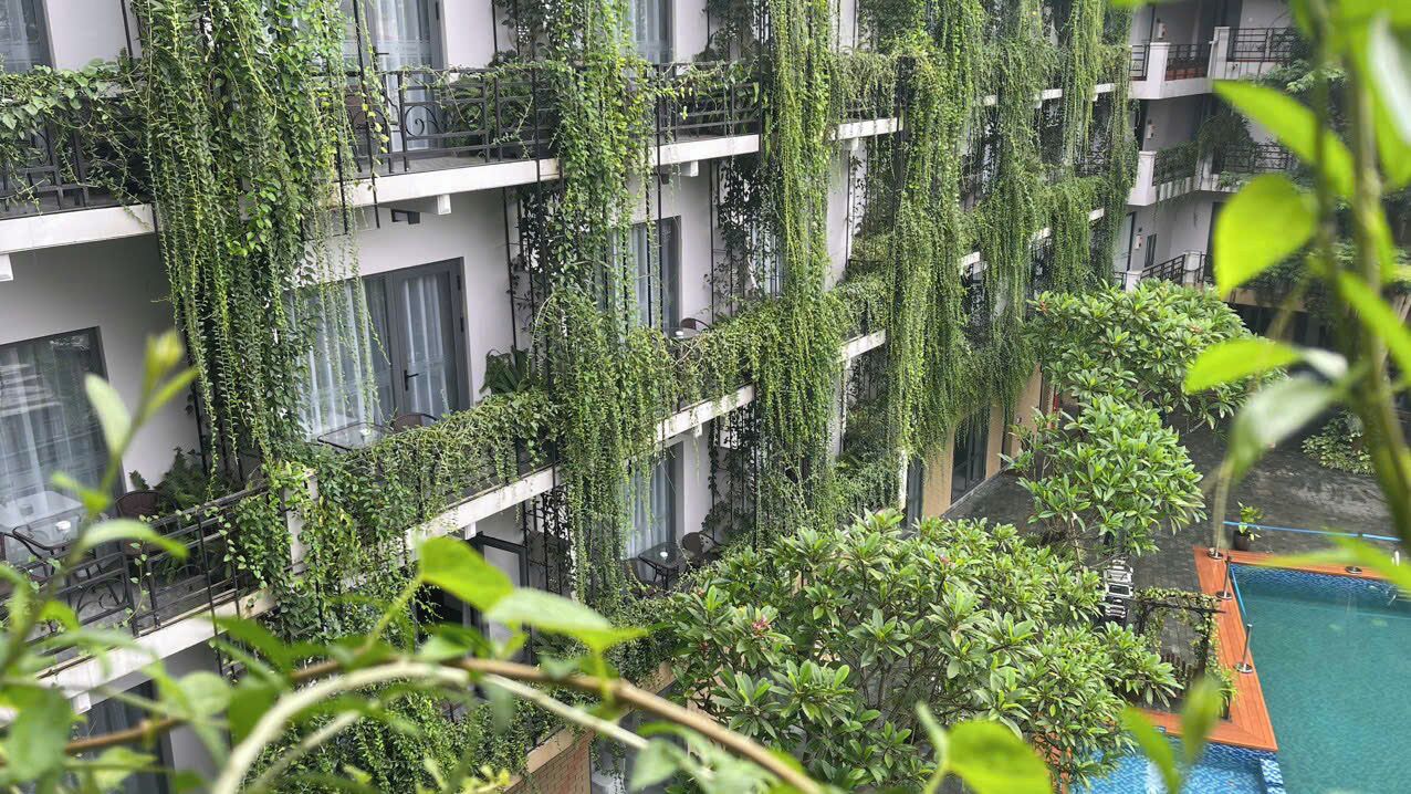 Phòng 3 Business, quang cảnh hồ bơi | Quang cảnh ban công