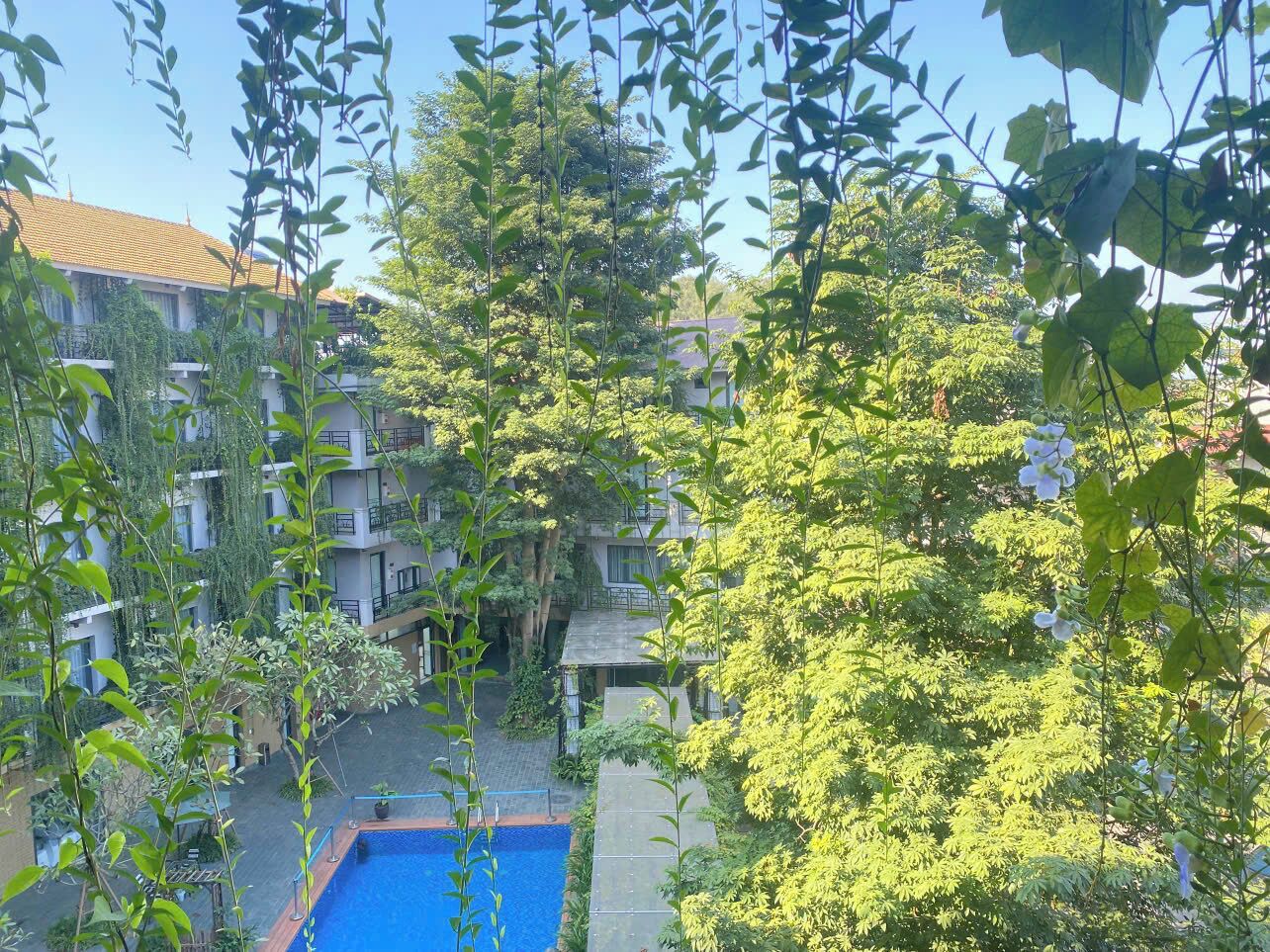 Une cour avec une piscine, entourée d’immeubles à plusieurs étages et d’une végétation luxuriante.