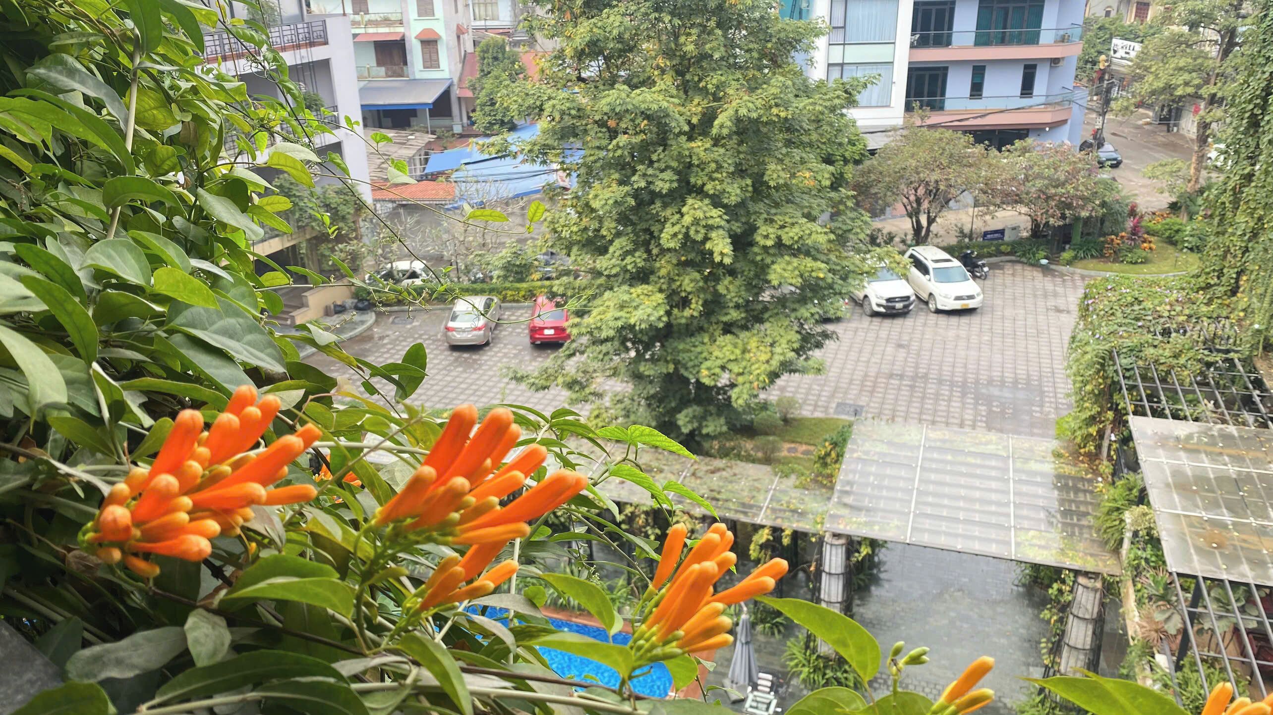 A residential area with a view of a street, parked cars, and a building with a blue roof.