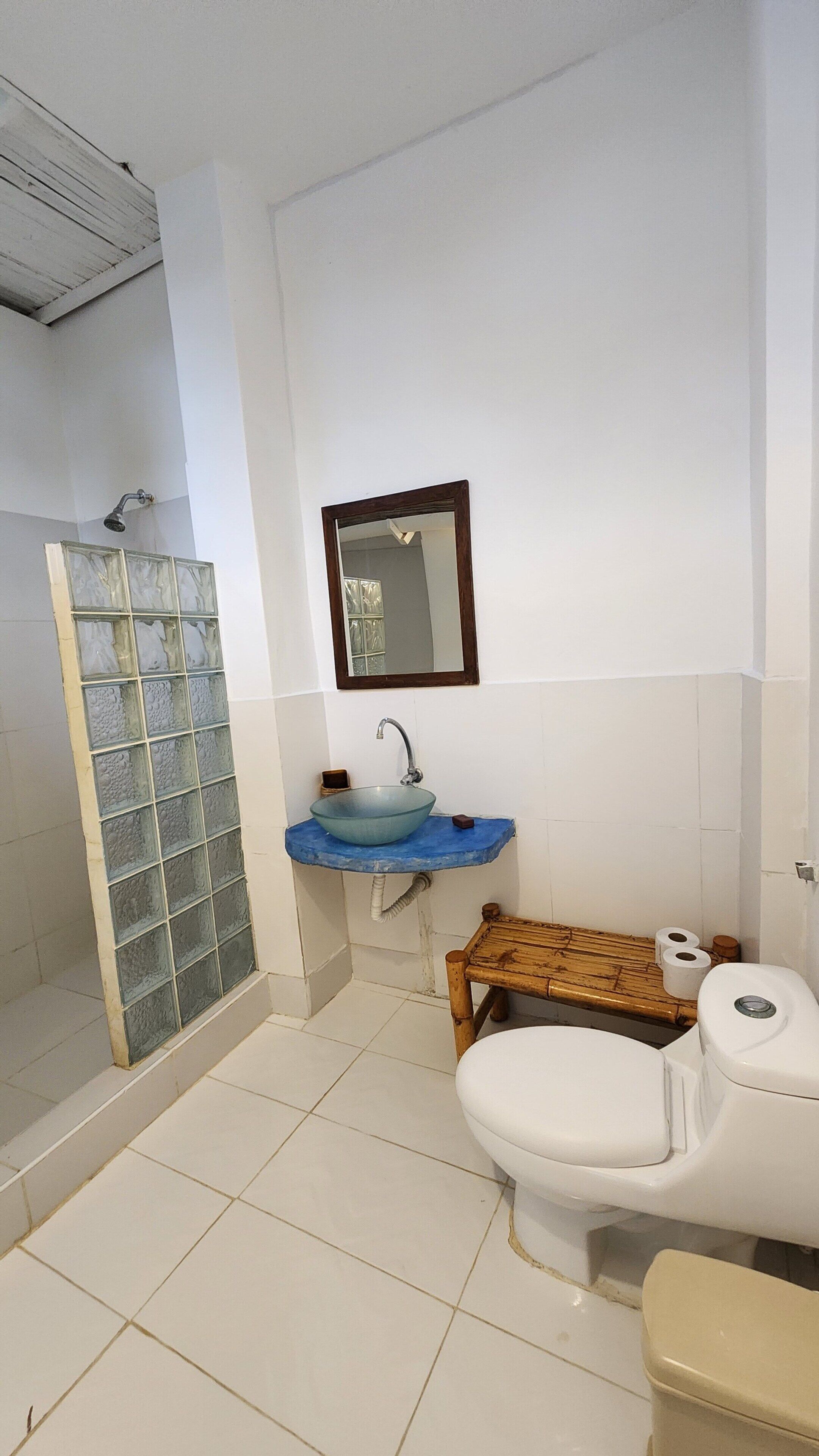 A bathroom with a glass shower enclosure, a blue sink, a toilet, and a mirror.