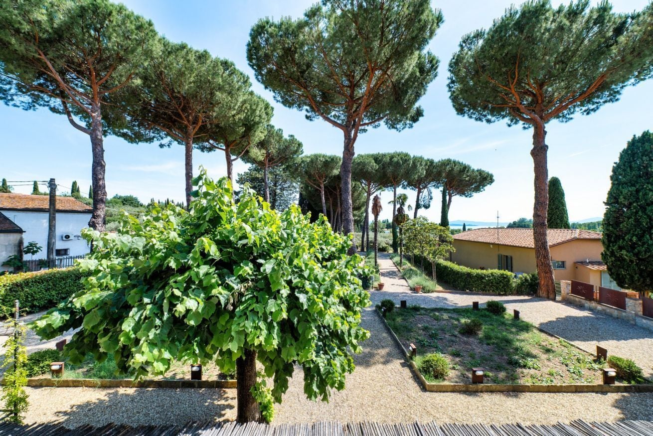 A garden with trees and a pathway.