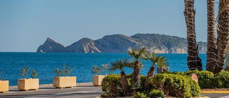 A coastal road with palm trees and a view of the sea and mountains.