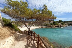 Un paysage côtier avec un sentier de pierres menant à une plage, une clôture en bois et une vue dégagée sur la mer.