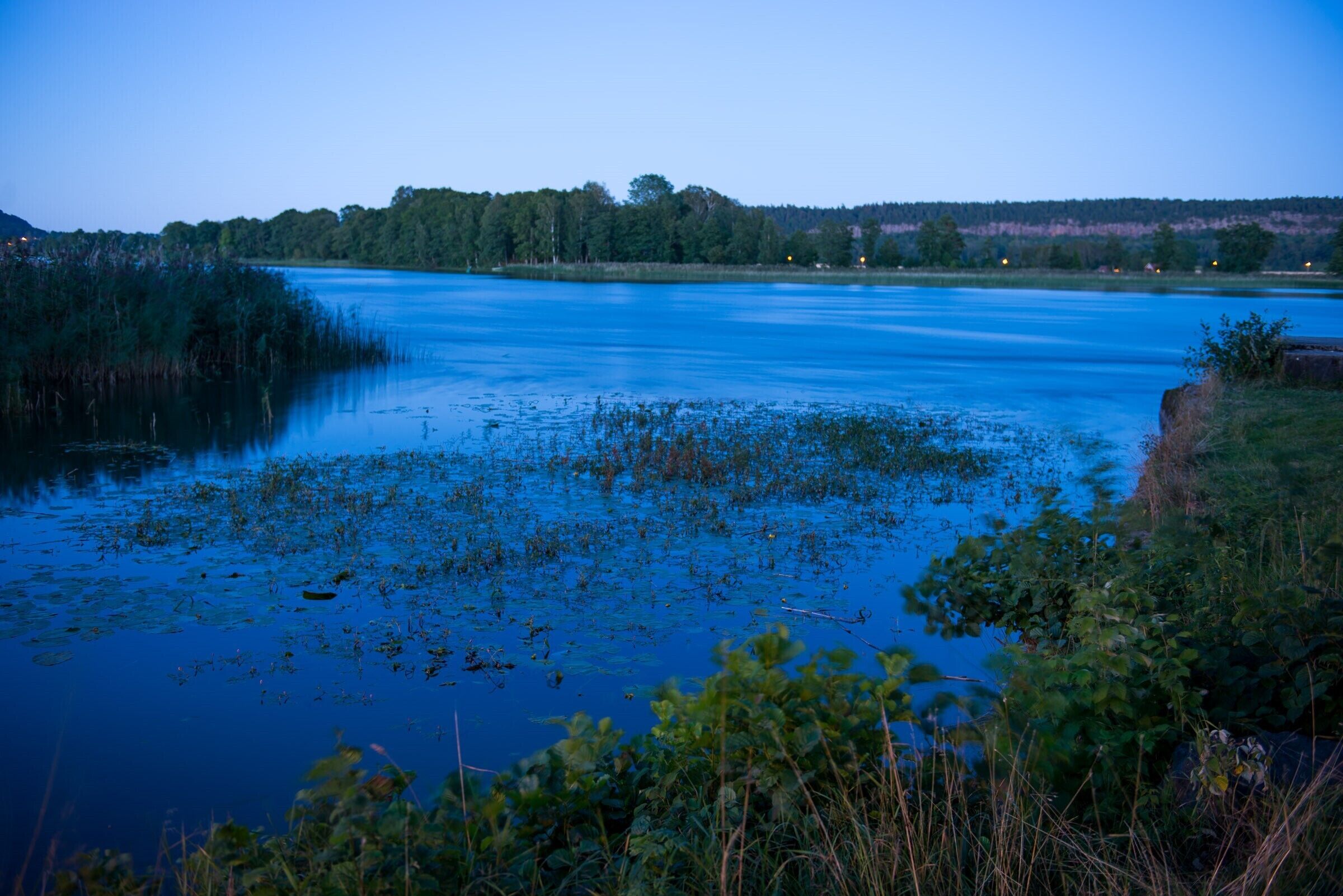 A calm lake with dense vegetation on the banks and a forested hill in the background.