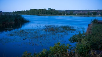 En stilla sjö med tät vegetation längs stränderna och en skogbeklädd kulle i bakgrunden.