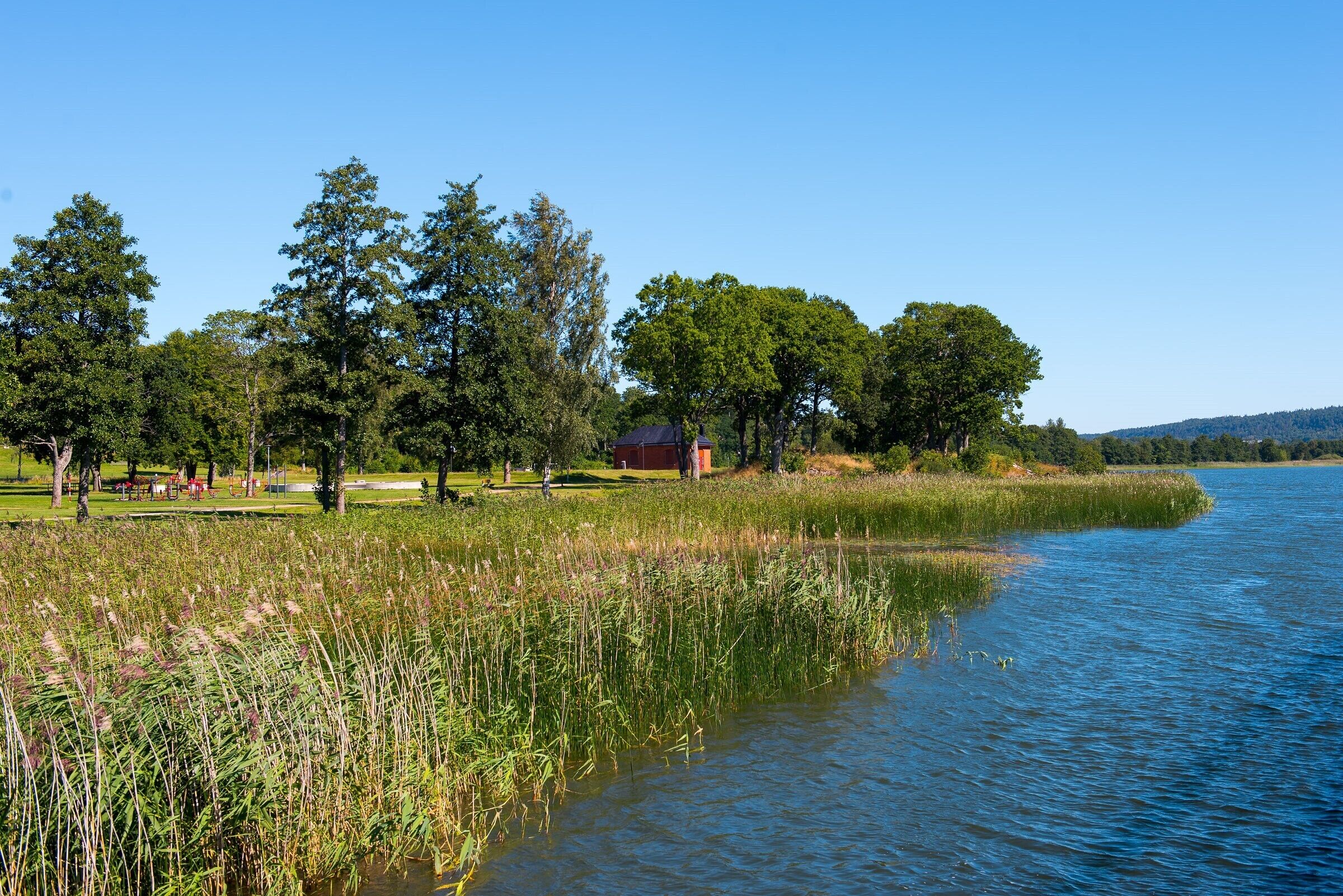 A lakeside view with a grassy area, trees, and a small building near the water.