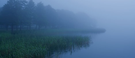 Un paisaje brumoso con un cuerpo de agua tranquilo que refleja árboles y juncos.