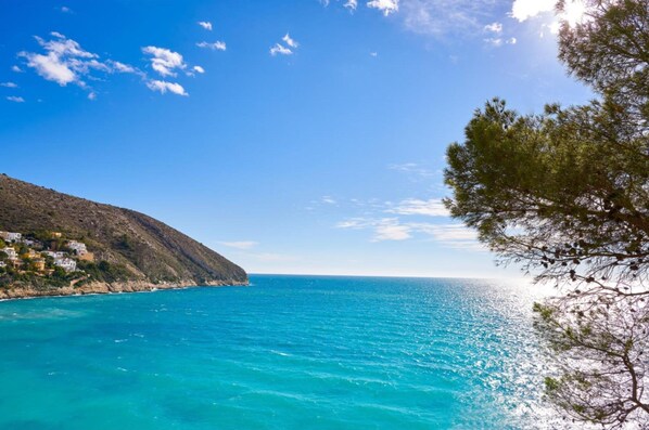 A coastal landscape with a clear blue sea, a hillside with buildings, and a tree on the right. - Emperador in Benissa (Benissa)