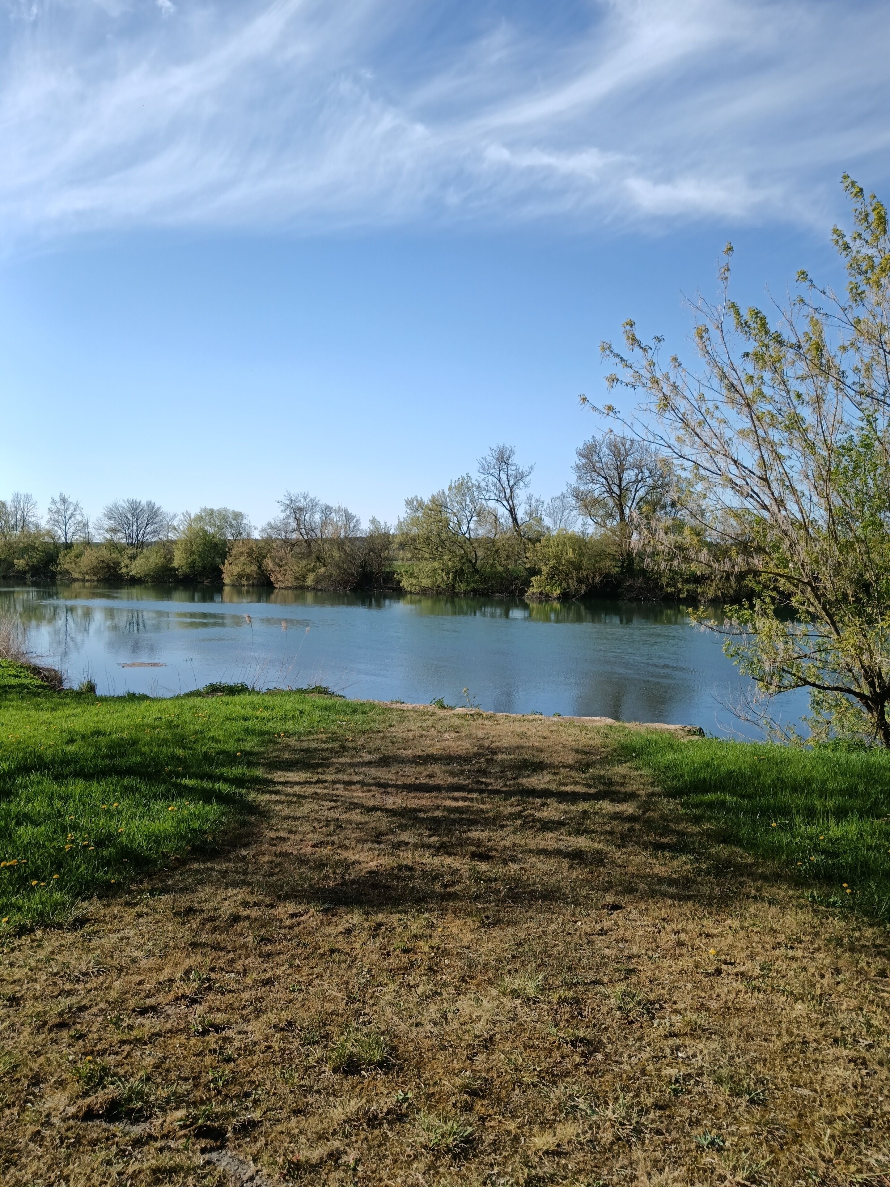 A serene lakeside view with a grassy foreground leading to a calm body of water, surrounded by trees and clear skies.