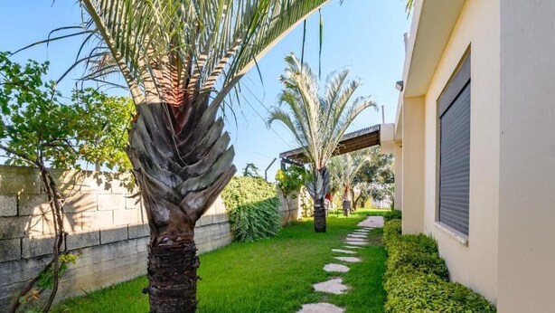 A pathway leading to a building with a palm tree and a hedge. - Adi Hacarmel (Daliyat al-Karmel)