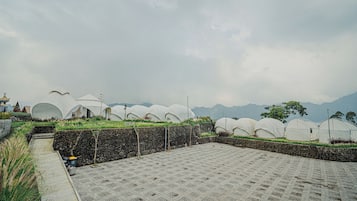 免費自助泊車