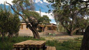 A rustic building with a stone facade, wooden beams, and a large tree in front. - Chulli Bagh Villa  (Leh)
