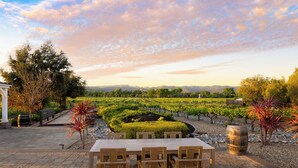 An outdoor patio with a wooden table and chairs, surrounded by a landscaped garden with a vineyard in the background.