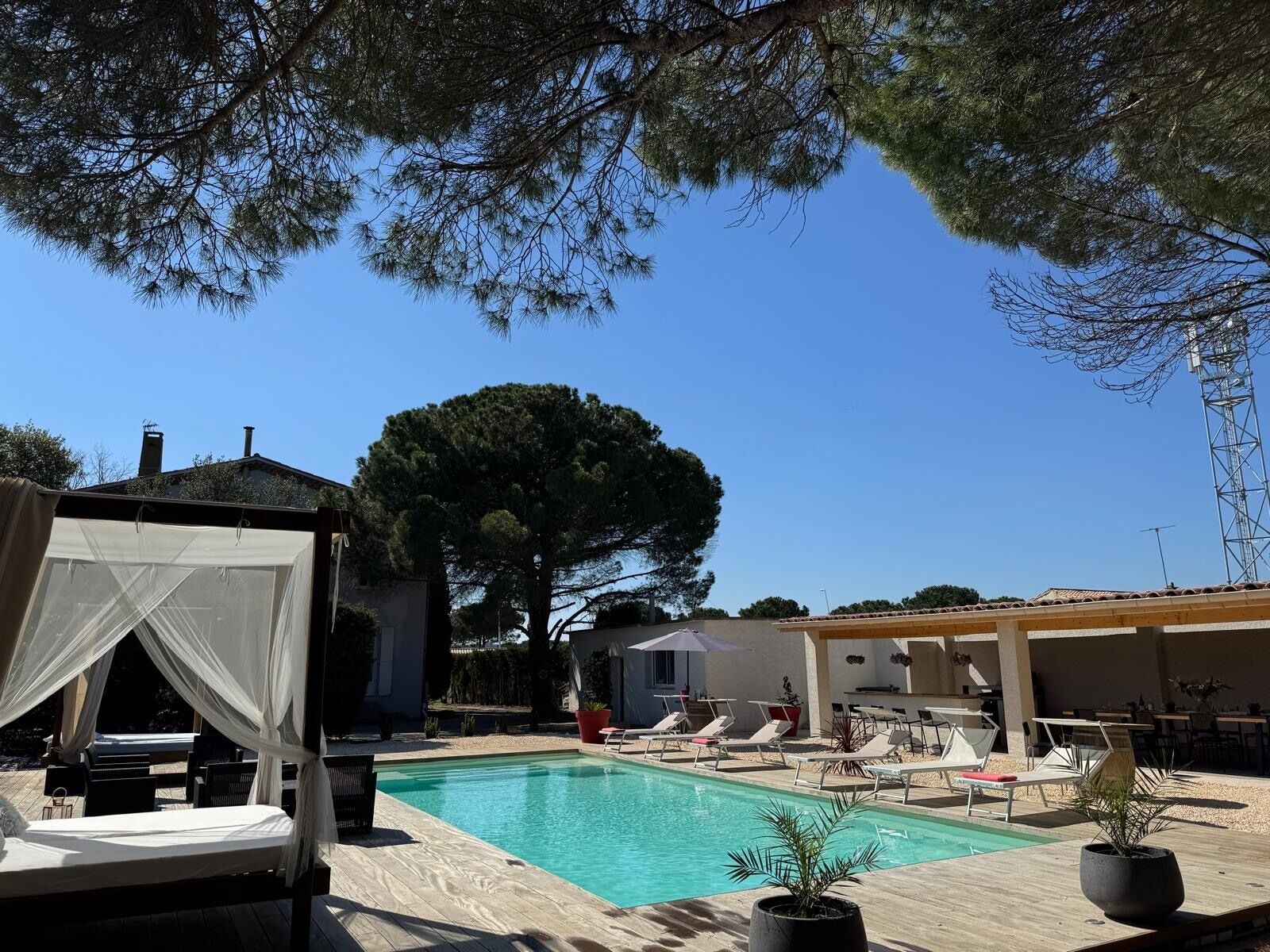 A pool area with a canopy, lounge chairs, and a large tree in the background.