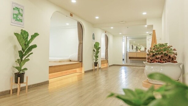 Un pasillo de hotel con piso de madera, una cama con cabecera blanca y plantas en macetas.