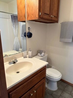 Hair dryer, towels, soap, toilet paper